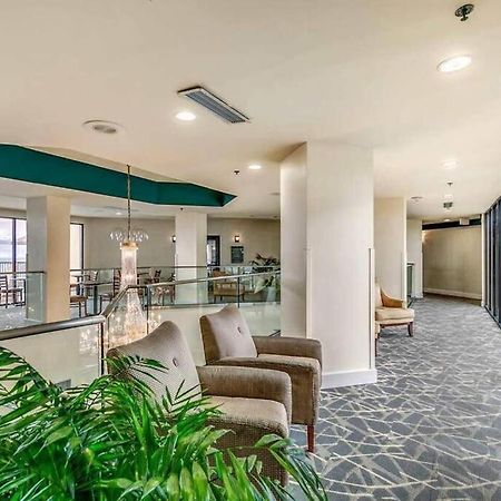 Apartament Upscale Oceanview 1Br Dog Friendly! 1104 Myrtle Beach Zewnętrze zdjęcie